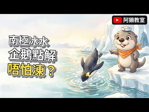 企鵝點解仲跳落冰水？