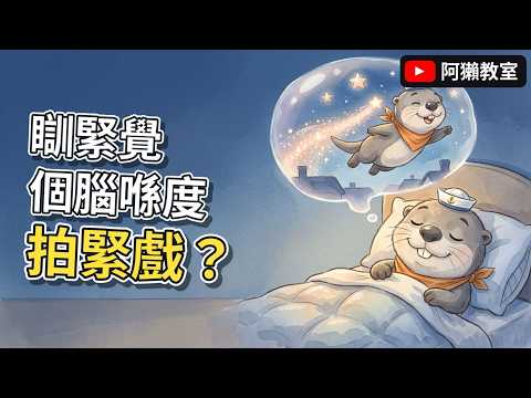 夢係邊度嚟？